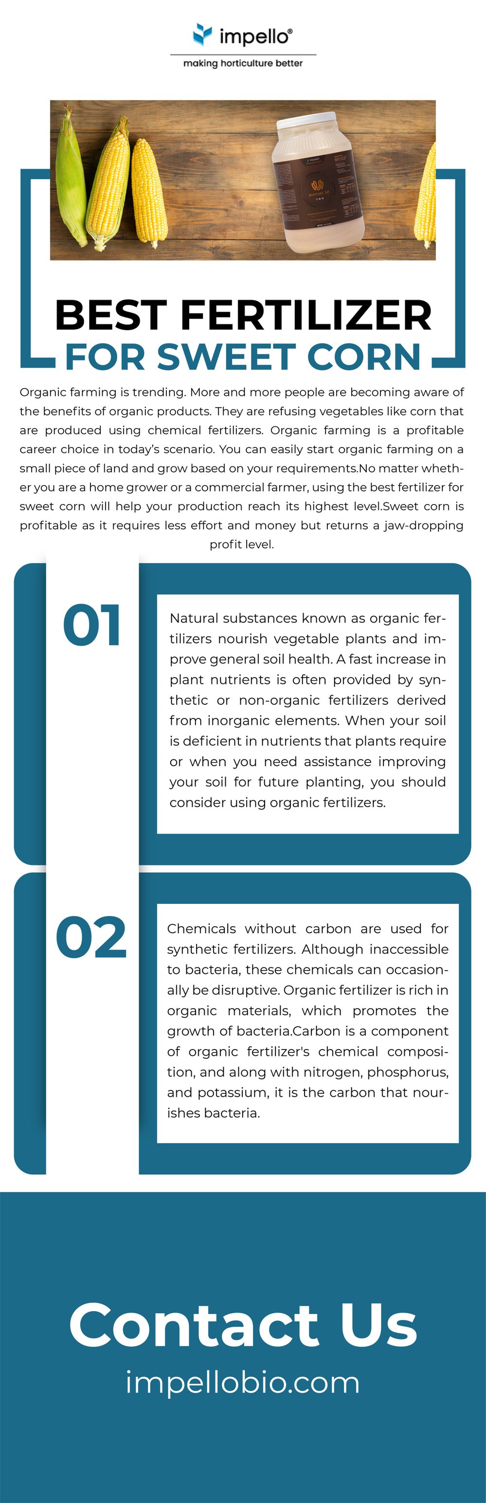 5 amazing benefits of using organic fertilizers for corn plants Hye Globe Photo Album By