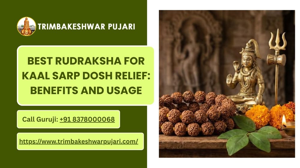 Best Rudraksha For Kaal Sarp Dosh Relief: Benefits And Usage