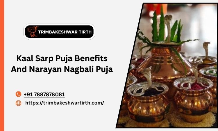 Kaal Sarp Puja Benefits And Narayan Nagbali Puja