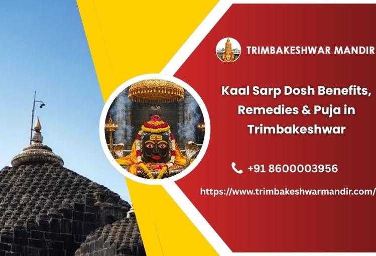 Kaal Sarp Dosh Benefits, Remedies & Puja in Trimbakeshwar