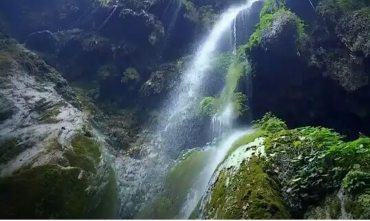 Trees In Rishikesh Best Resort in Rishikesh Near Waterfalls for a Refreshing Nature Stay ...